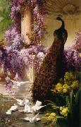 Eugene Bidau A Peacock and Doves in a Garden Spain oil painting artist
